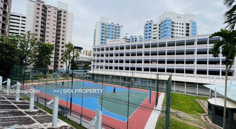 Blk 648D Jurong West Street 61 (Jurong West), HDB 5 Rooms #372812121
